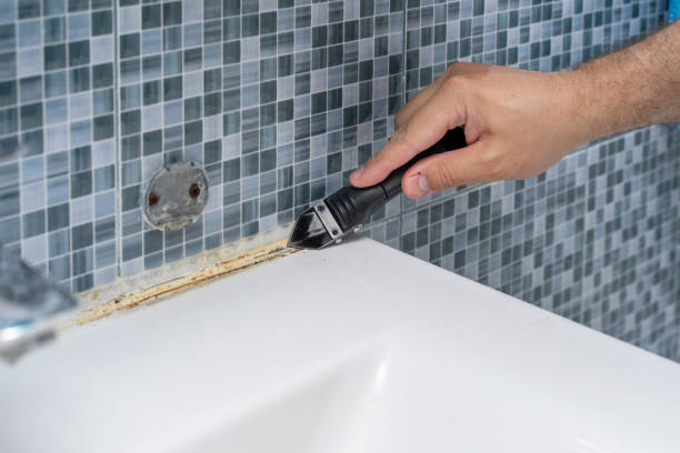  Oli, PA Mold Removal Pros