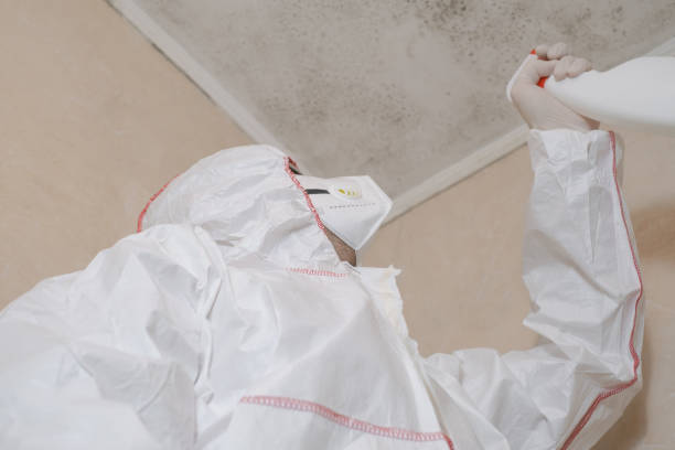 Best Mold Cleaning Services  in Oli, PA